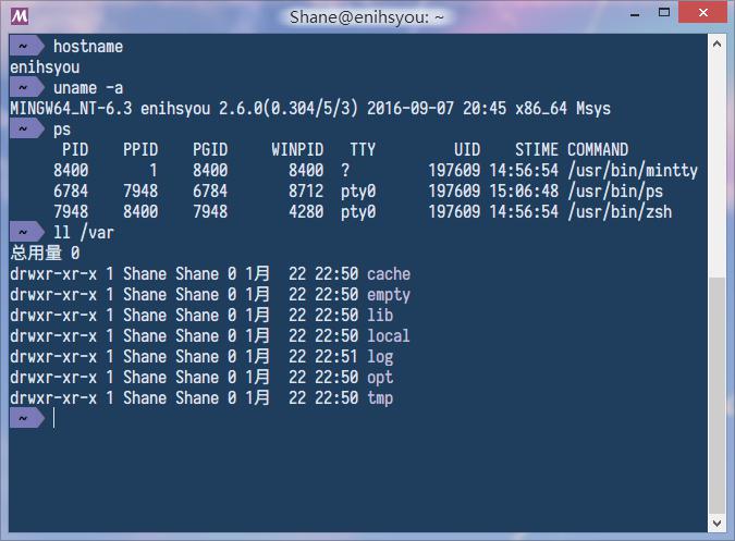 oh my zsh加持下的终端