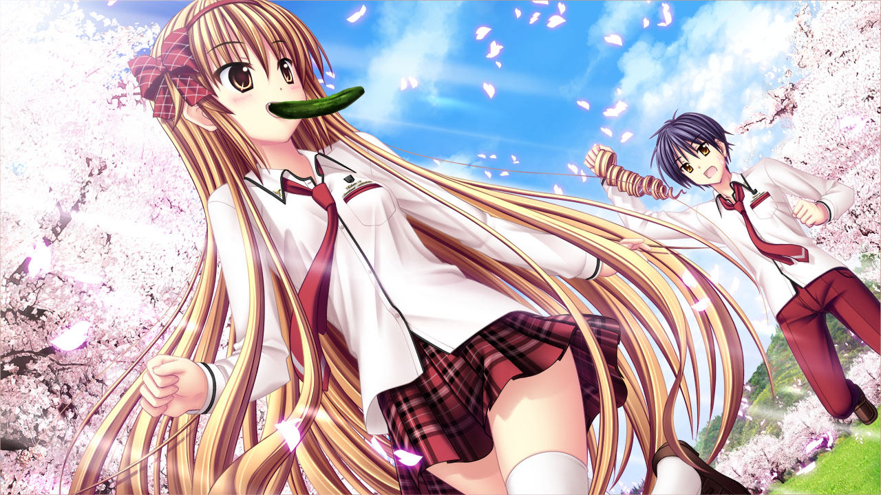 さくら、咲きました。 六周目