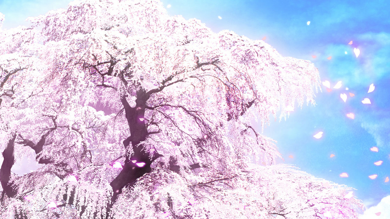 さくら、咲きました。